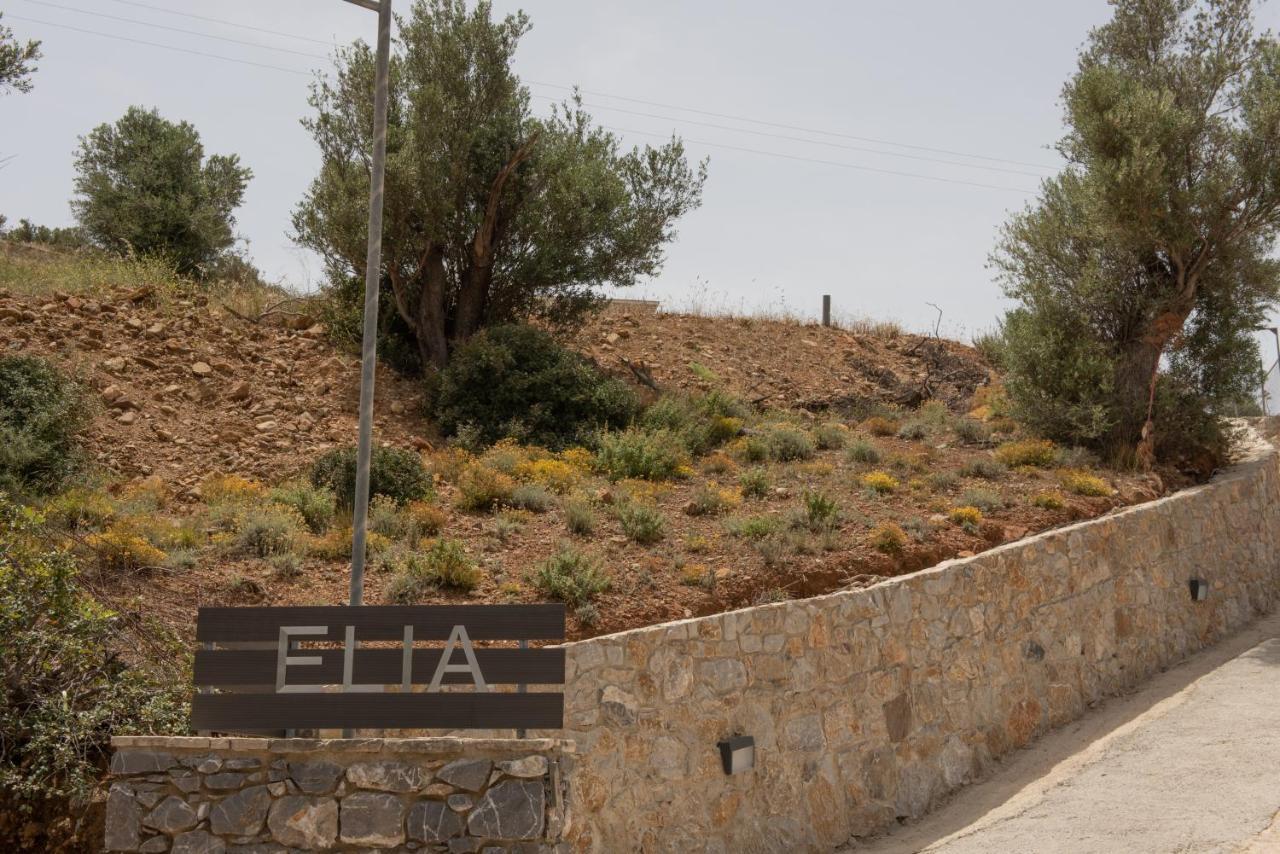 Elia Boutique Villas アギア・ガリニ エクステリア 写真